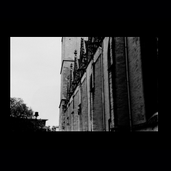 Classic Camera Walk 005 .jpg