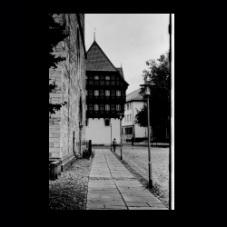 Classic Camera Walk 006 .jpg