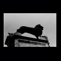 Classic Camera Walk 013 .jpg