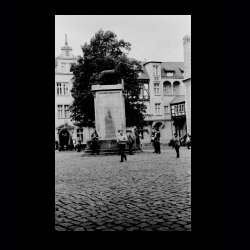 Classic Camera Walk 015 .jpg