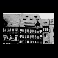 Classic Camera Walk 016 .jpg