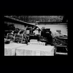 Classic Camera Walk 023 .jpg