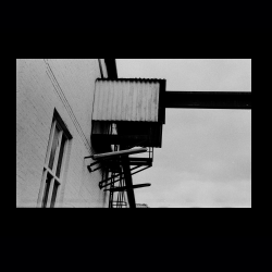 Classic Camera Walk 025 .jpg