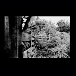 Classic Camera Walk 030 .jpg