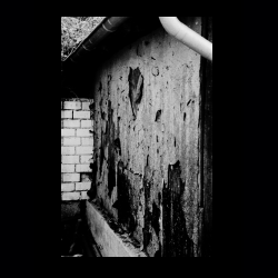 Classic Camera Walk 032 .jpg