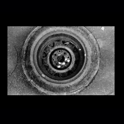 Classic Camera Walk 034 .jpg