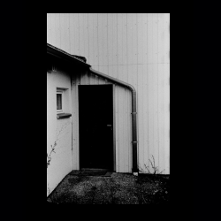 Classic Camera Walk 036 .jpg