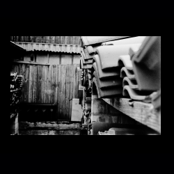 Classic Camera Walk 038 .jpg