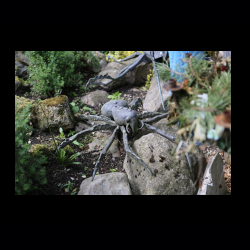 Iserhatsche 017 .jpg