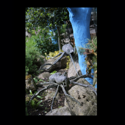 Iserhatsche 018 .jpg