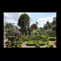 Iserhatsche 021 .jpg