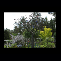 Iserhatsche 022 .jpg