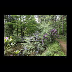 Iserhatsche 030 .jpg