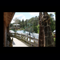 Iserhatsche 044 .jpg