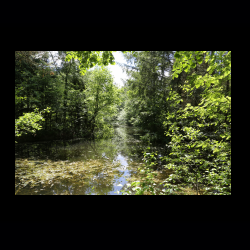 Iserhatsche 051 .jpg