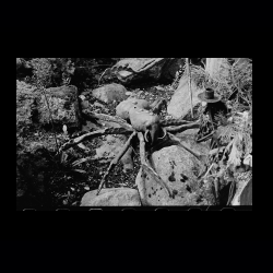 Iserhatsche Analog 005 .jpg