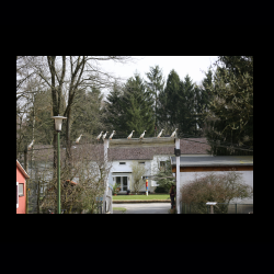 Filmtier-Park Eschede 026 .jpg