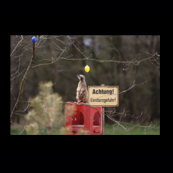 Filmtier-Park Eschede 044 .jpg