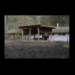 Filmtier-Park Eschede 051 .jpg