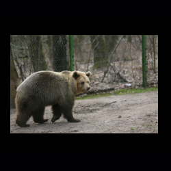 Filmtier-Park Eschede 073 .jpg