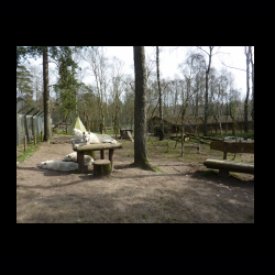 Filmtier-Park Eschede 084 .jpg