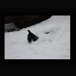 FIMG 6812 - IMG 6812.jpg