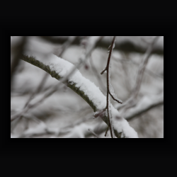 NIMG 6915 - IMG 6915.jpg