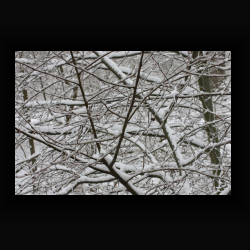 NIMG 6916 - IMG 6916.jpg