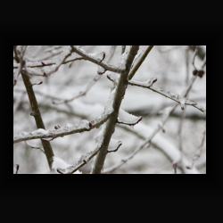 NIMG 6917 - IMG 6917.jpg