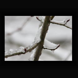 NIMG 6918 - IMG 6918.jpg