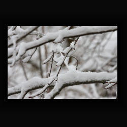 NIMG 6920 - IMG 6920.jpg