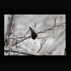 NIMG 6921 - IMG 6922.jpg