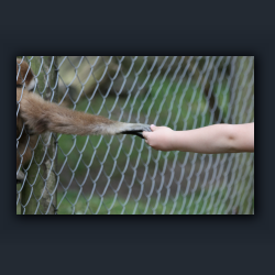 Essehof 001 - a1.jpg