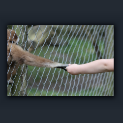 Essehof 002 - a2.jpg