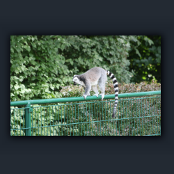 Essehof 003 - a3.jpg