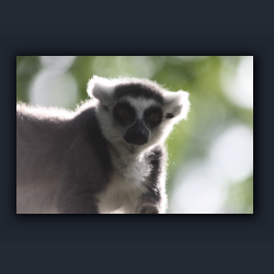 Essehof 005 - a5.jpg