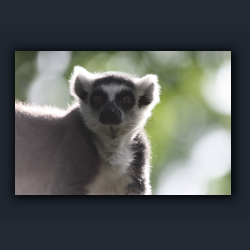 Essehof 006 - a6.jpg