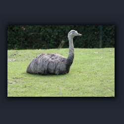 Essehof 007 - e01.jpg