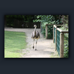 Essehof 008 - e03.jpg