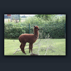 Essehof 012 - ea5.jpg