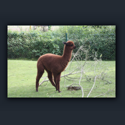 Essehof 013 - ea6.jpg