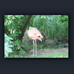 Essehof 015 - f01.jpg