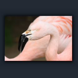 Essehof 016 - f02.jpg