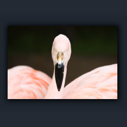 Essehof 017 - f03.jpg