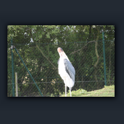 Essehof 021 - g06.jpg