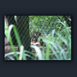 Essehof 022 - ge1.jpg