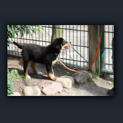 Essehof 025 - h01.jpg