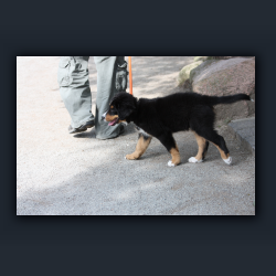 Essehof 026 - h02.jpg