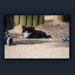 Essehof 027 - h03.jpg