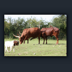 Essehof 028 - r1.jpg